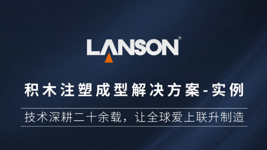 積木注塑成型解決方案-項目實例